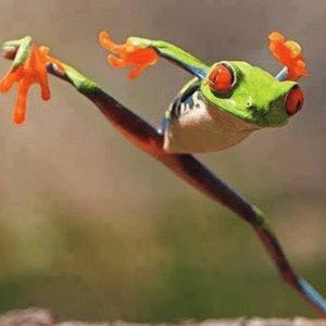 Meet your Posher, Katy